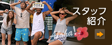 スタッフ紹介