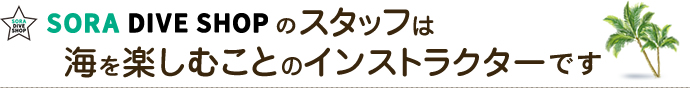 SORA DIVE SHOPのスタッフは海を楽しむことのインストラクターです