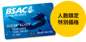 人数限定特別価格